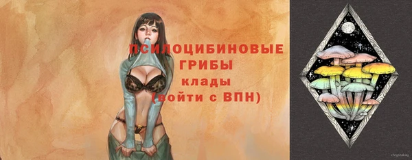 ECSTASY Алексин