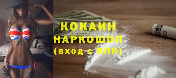 гашик Алзамай