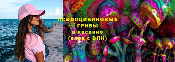 гашик Алзамай