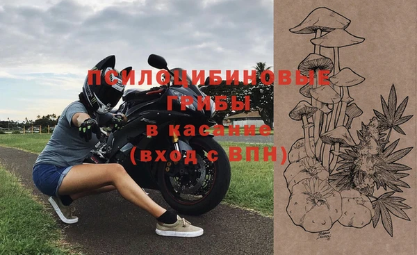 ECSTASY Алексин