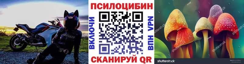 Галлюциногенные грибы Magic Shrooms  Краснообск 